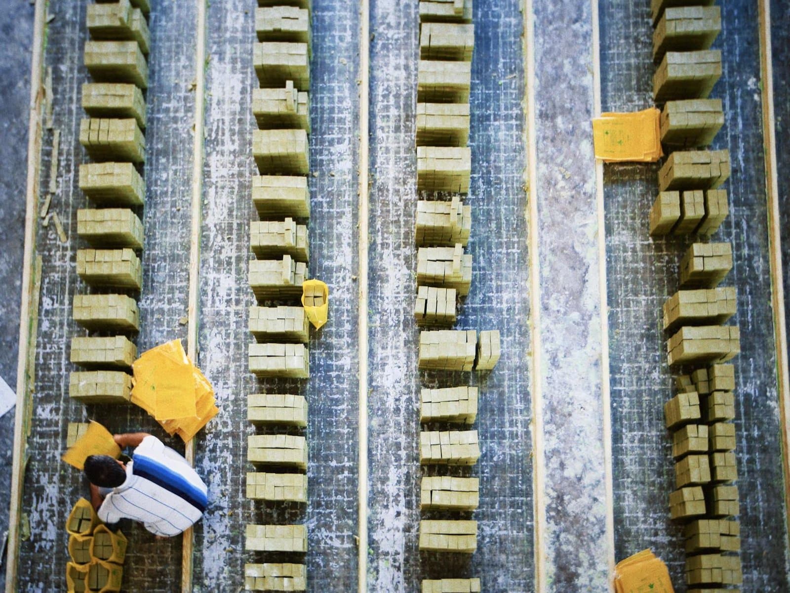 India’s Private Sector Sees Strong Growth in December, Boosted by Services and Manufacturing