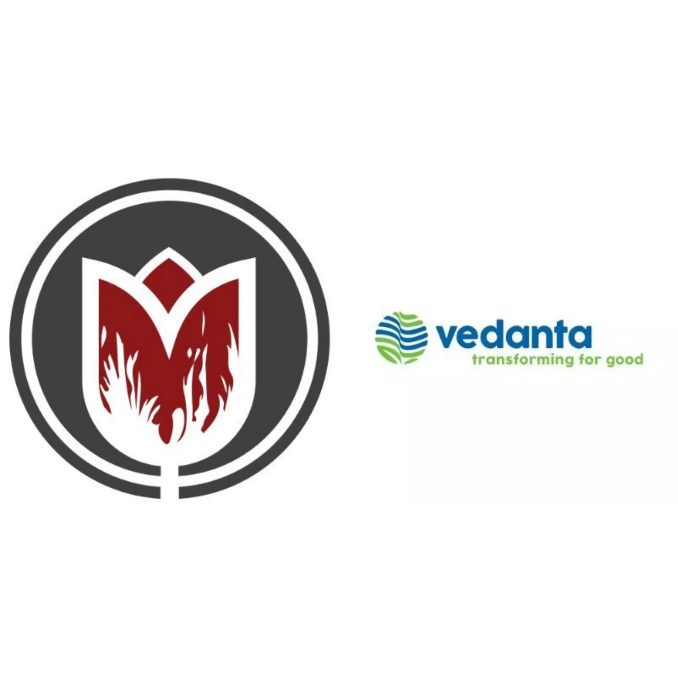 Vedanta’s Financial Crisis: Debt Trap, Asset Misuse &amp; Imminent Collapse: Viceroy Research