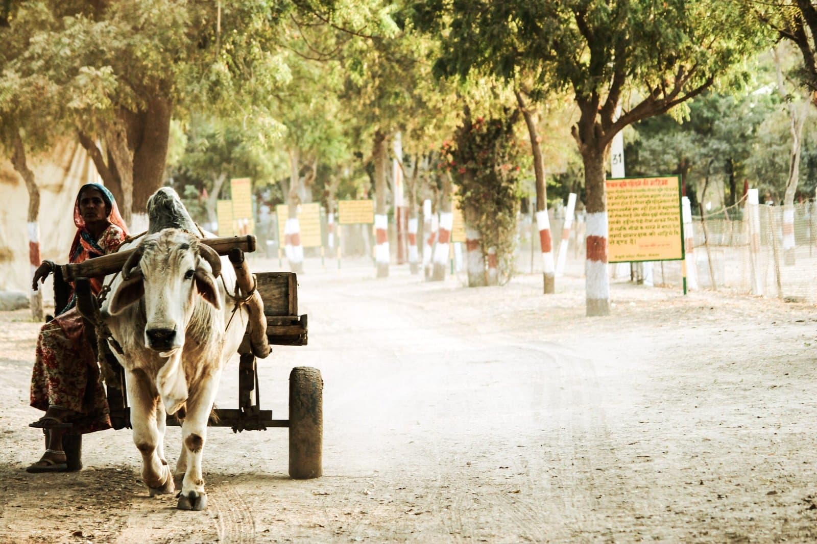 NielsenIQ Reveals Deceleration in Indian Consumer Goods Growth: Rural Resilience Amidst Urban Slowdown
