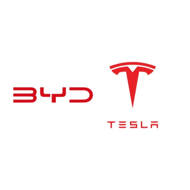BYD Overtakes Tesla in Hong Kong's EV Market in 2025