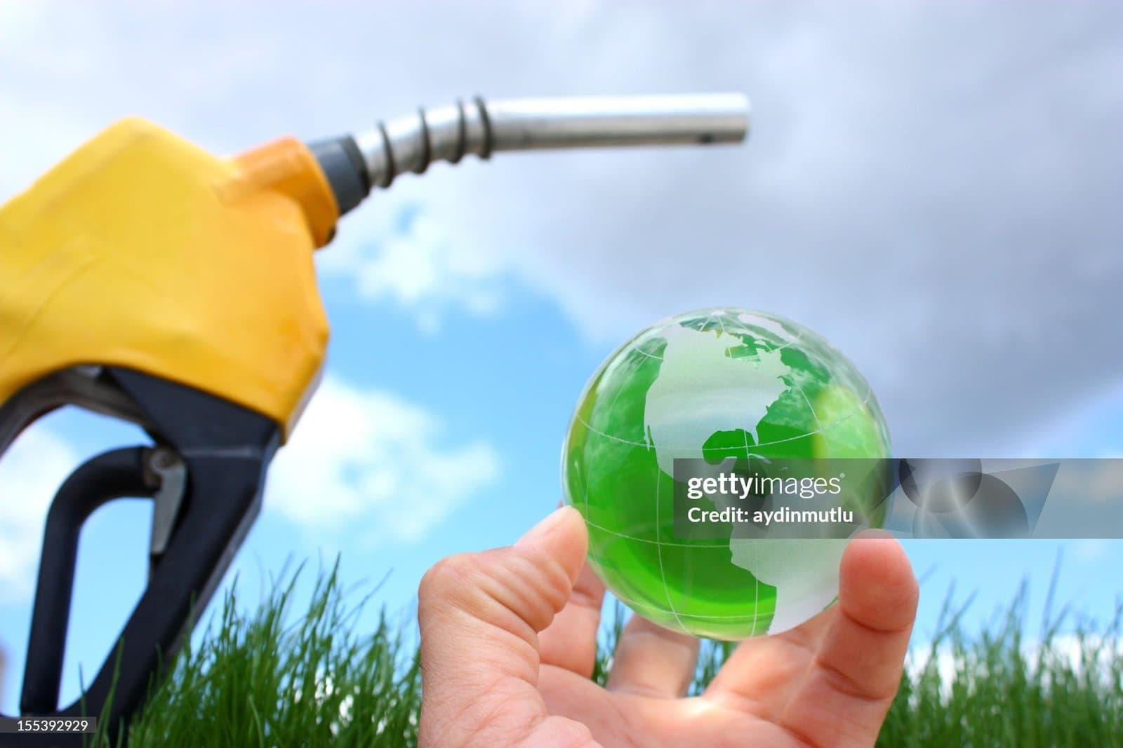 India Considers Curtailing Ethanol Production Amidst Sugar Shortages